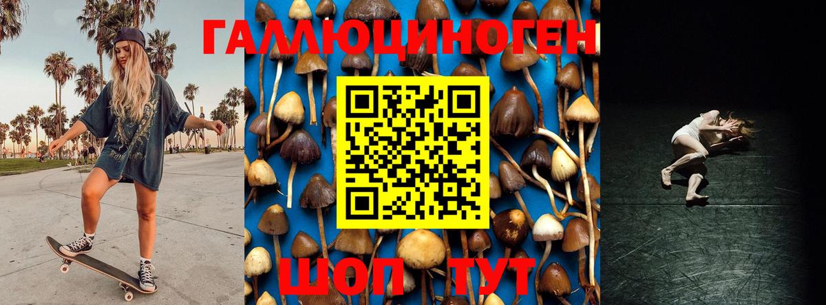 Псилоцибиновые грибы мухоморы Тельмана